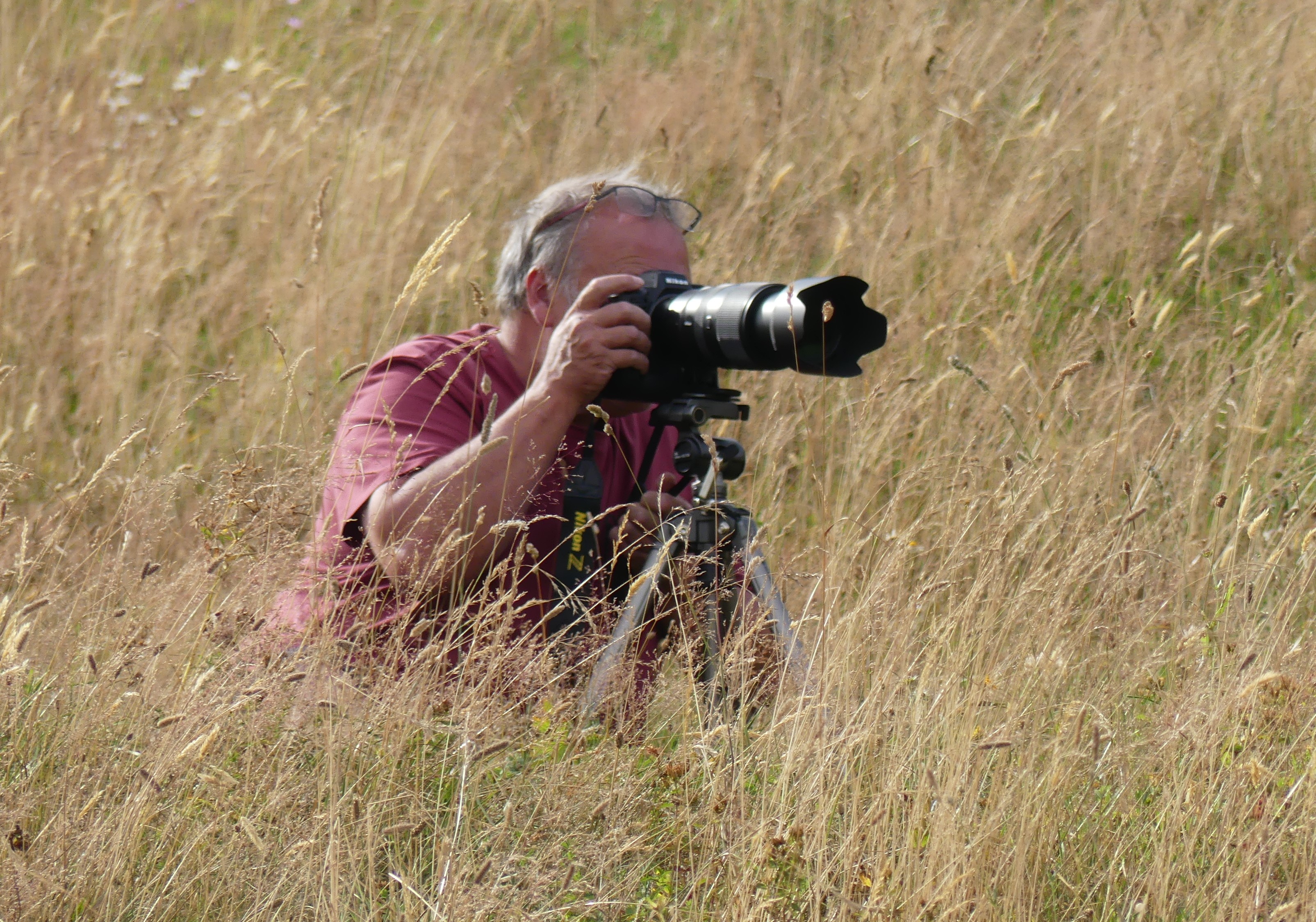 Laurans Poncet, photographe, en train de cadrer dans les herbes hautes avec un Nikon Z et téléobjectif
